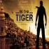 Ek Tha Tiger